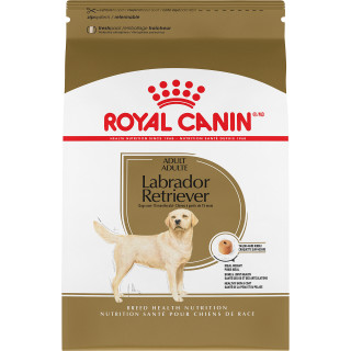 Labrador Retriever Adult Dry Dog Food